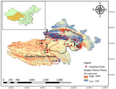 Diverse Bacterial Communities From Qaidam Basin of the Qinghai–Tibet Plateau: Insights Into Variations in Bacterial Diversity Across Different Regions